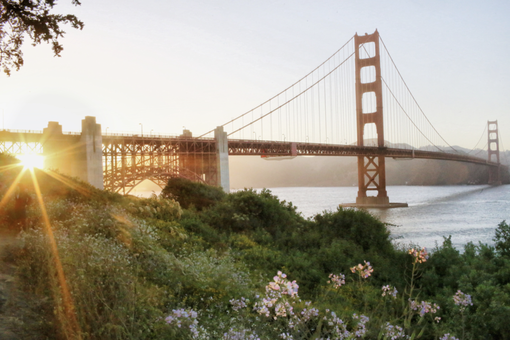 The Dame Traveler Guide to San Francisco