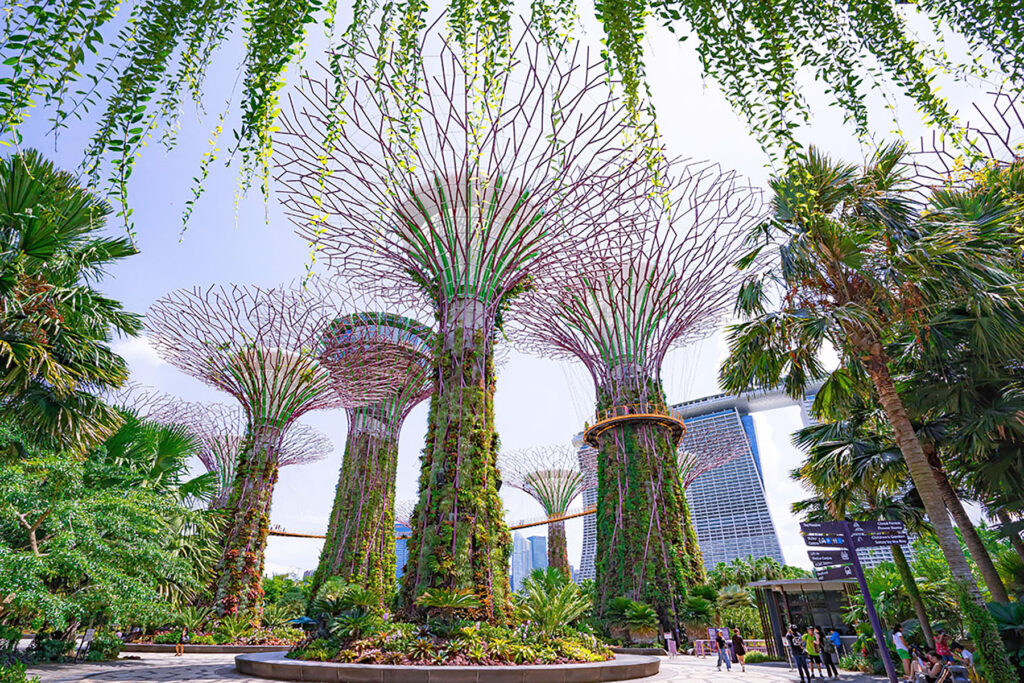 Supertree Grove at Gardens by the Bay in Singapore, featuring towering tree-like structures covered in greenery and connected by skywalks.