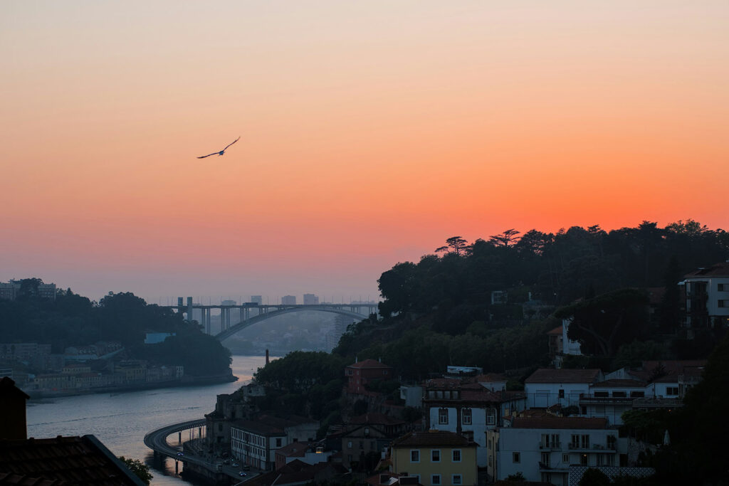 Sunset over Porto, Portugal with the Douro River winding through the city, a bridge in the distance, and a bird gliding across a warm orange sky.