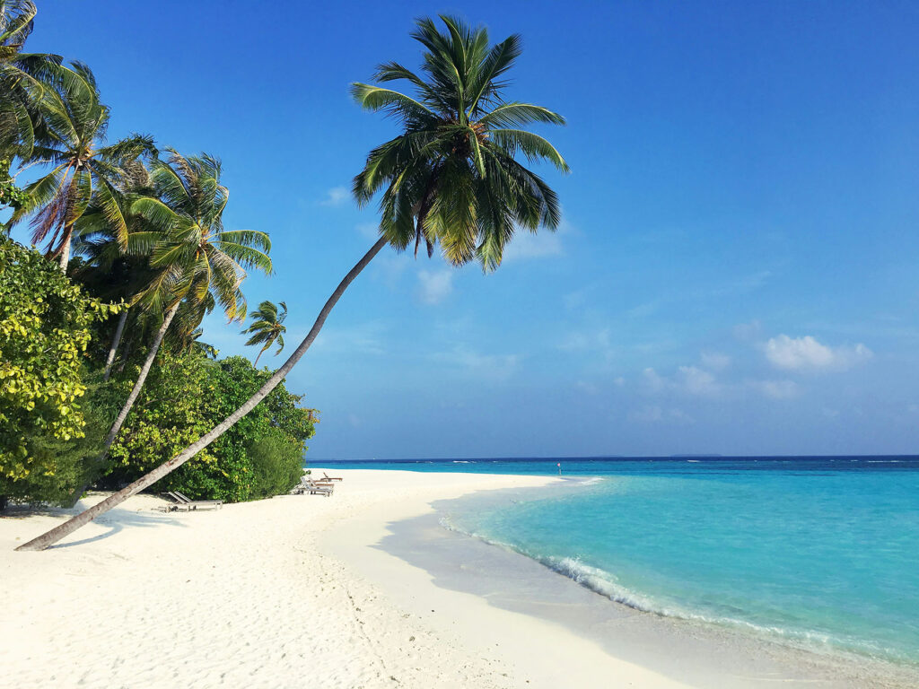 Tropical beach with white sand, turquoise water, and leaning palm trees under a clear blue sky.
