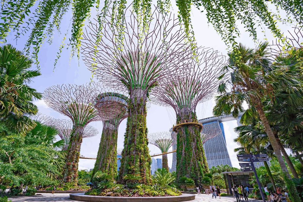 Looking up at Gardens by the Bay Supertrees through the OCBC Skyway – one of the most photographed things to do in Singapore