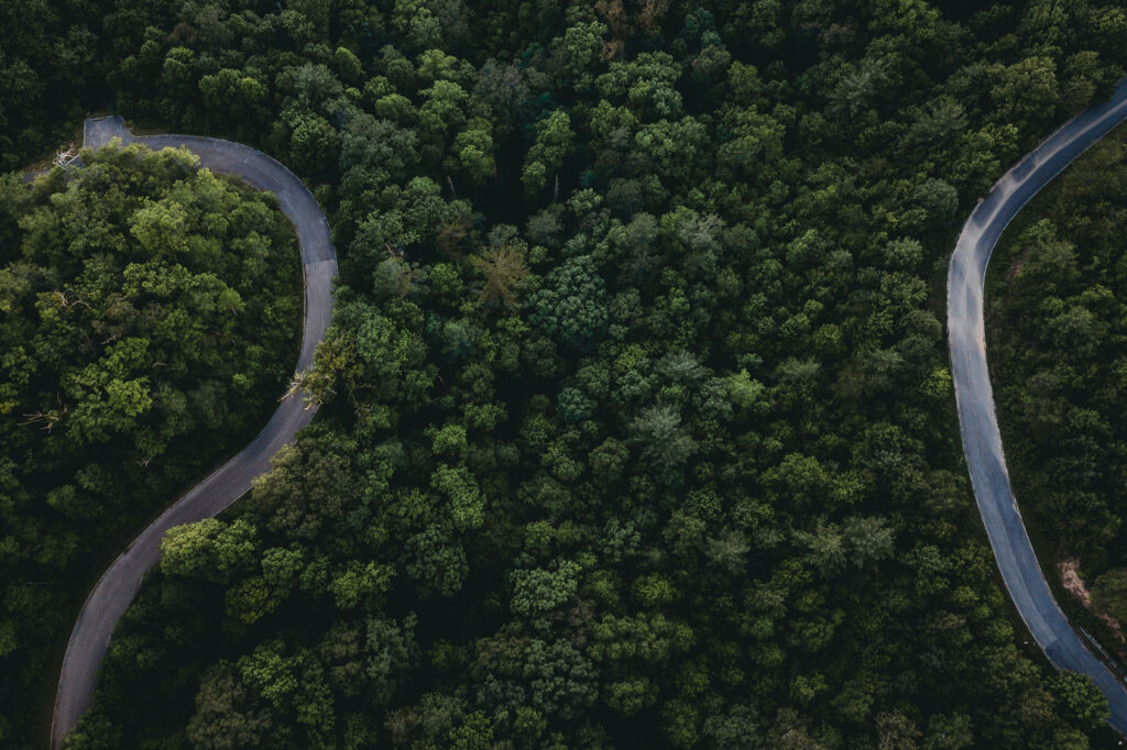 Aerial view of winding roads cutting through dense green forest, creating curved patterns through the trees.