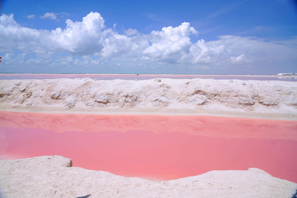 Pink salt lakes in Las Coloradas, Mexico, with bright rose-colored water contrasting against white salt banks and a blue sky.