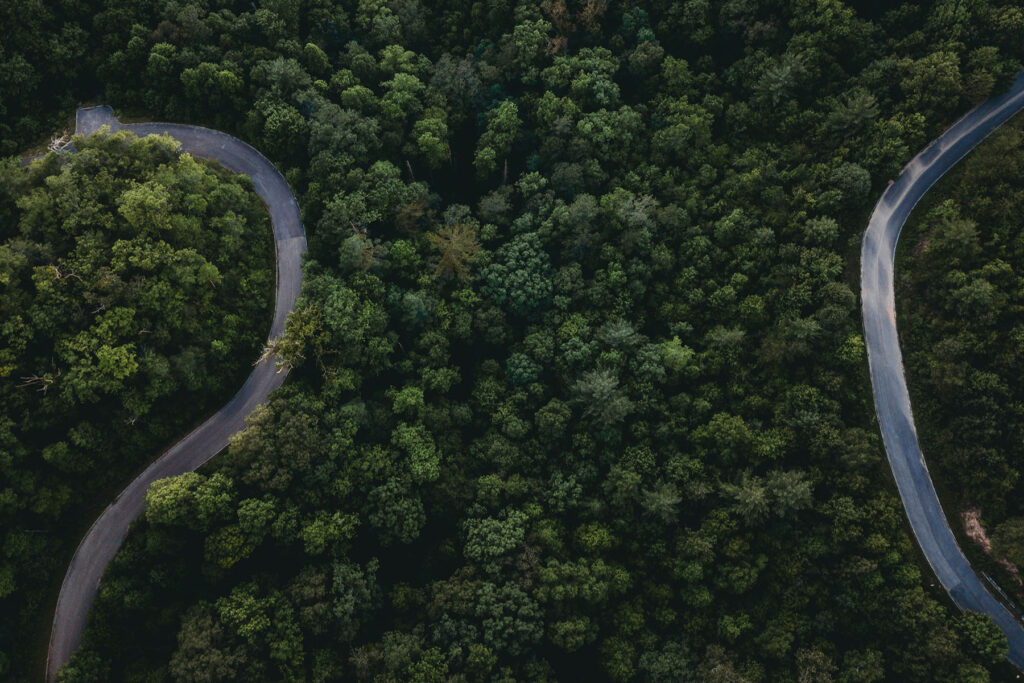 Aerial view of a winding road through the Smoky Mountains in Tennessee, surrounded by dense green forest, perfect for a scenic road trip.